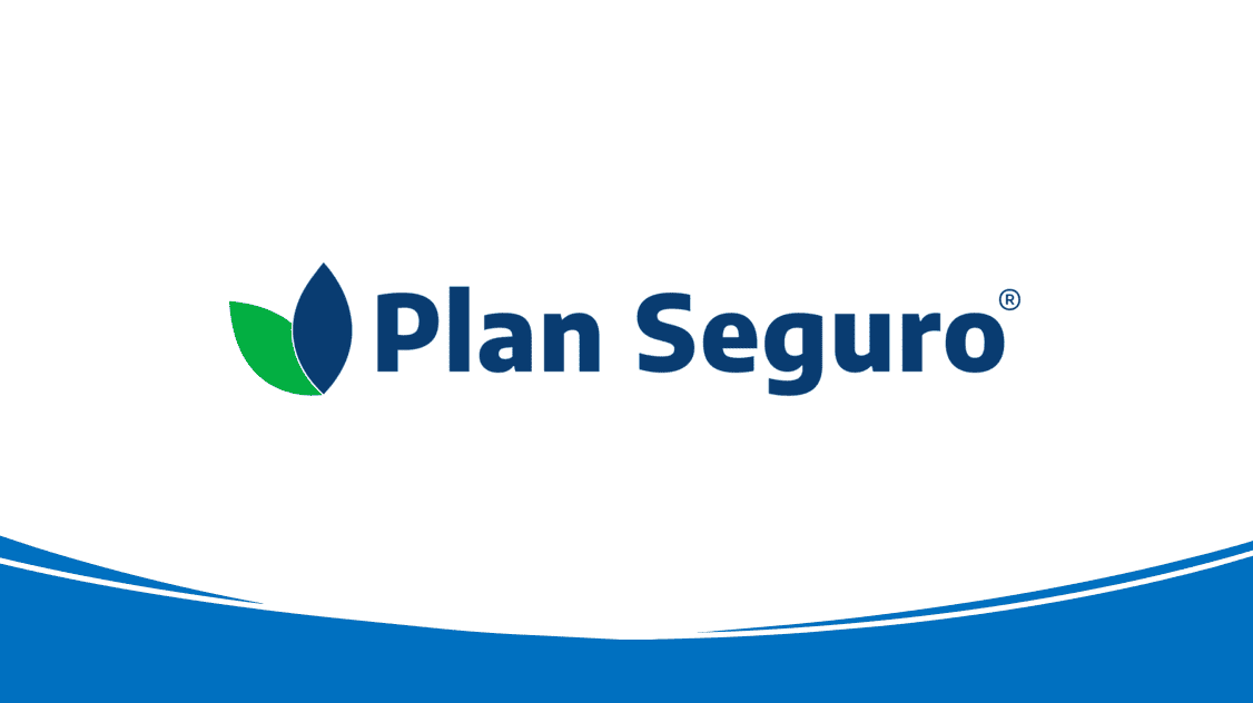 Logo PLAN SEGURO